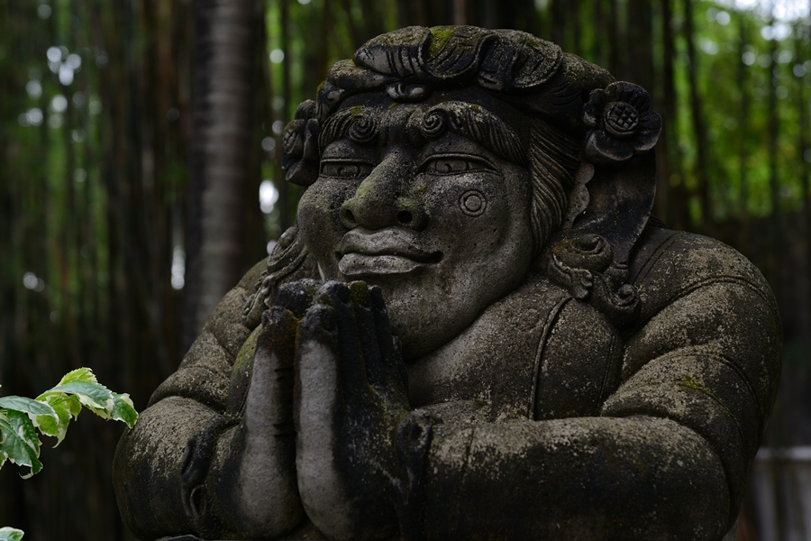우람한 수문장도 있구요...