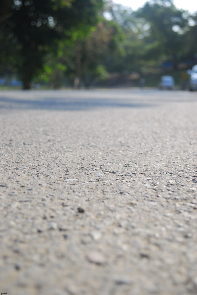 낯선듯 낯설지 않은 길을 따라
