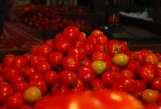 걍 몸에 좋다니까...... 저렴하니까....... 싱싱하니까.......   한사발씩~