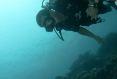 썸,헉스빌. ---> 리키 챨영