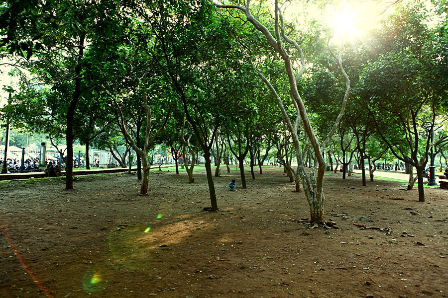 빛 속에서의 유희 