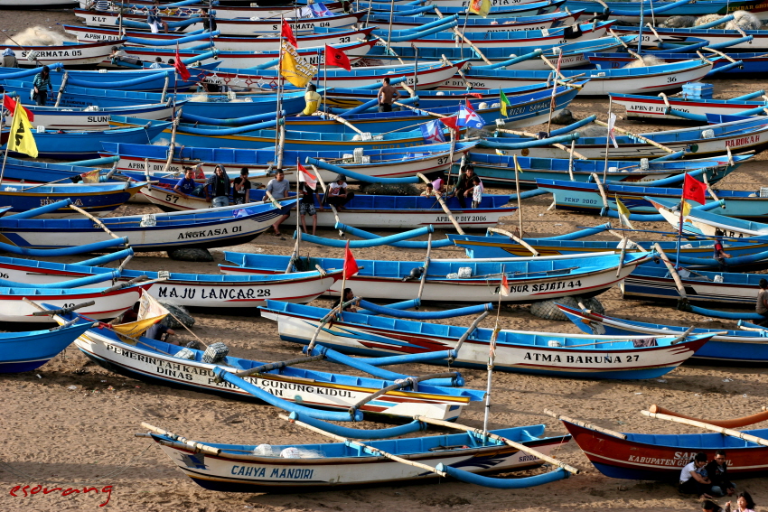 파란 조각 배들