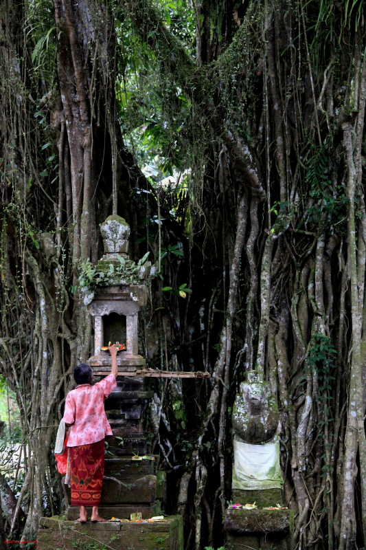 공양 받치는 할머니