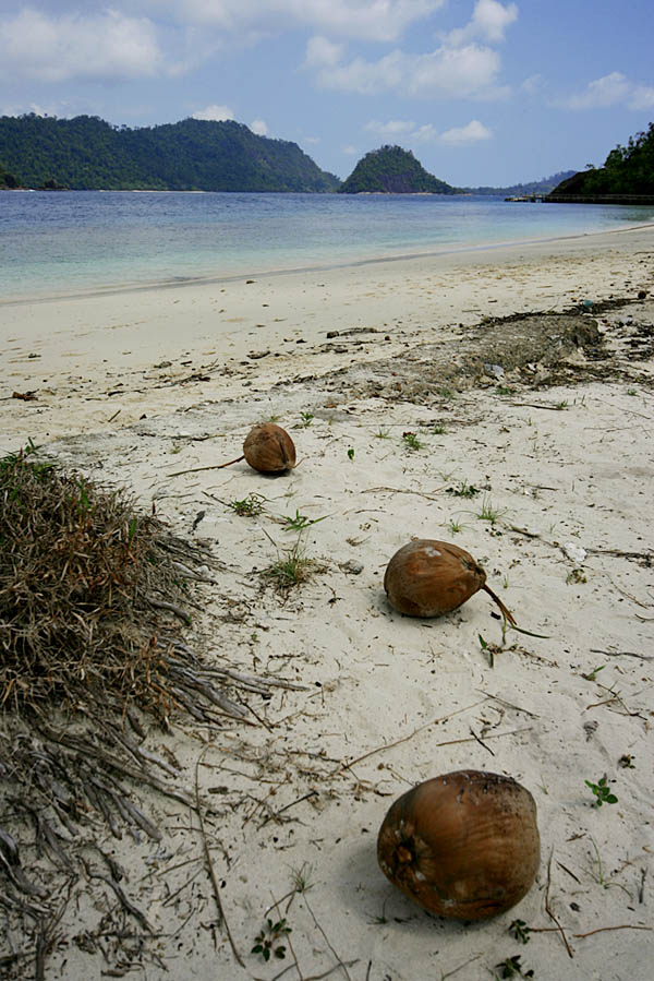 요 사진은 족자 아니군요 수마트라의 이름 모를 섬입니다