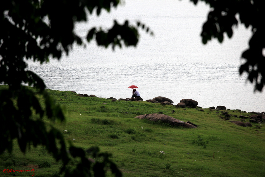 얼레리 꼴레리 <-> 부럽샴