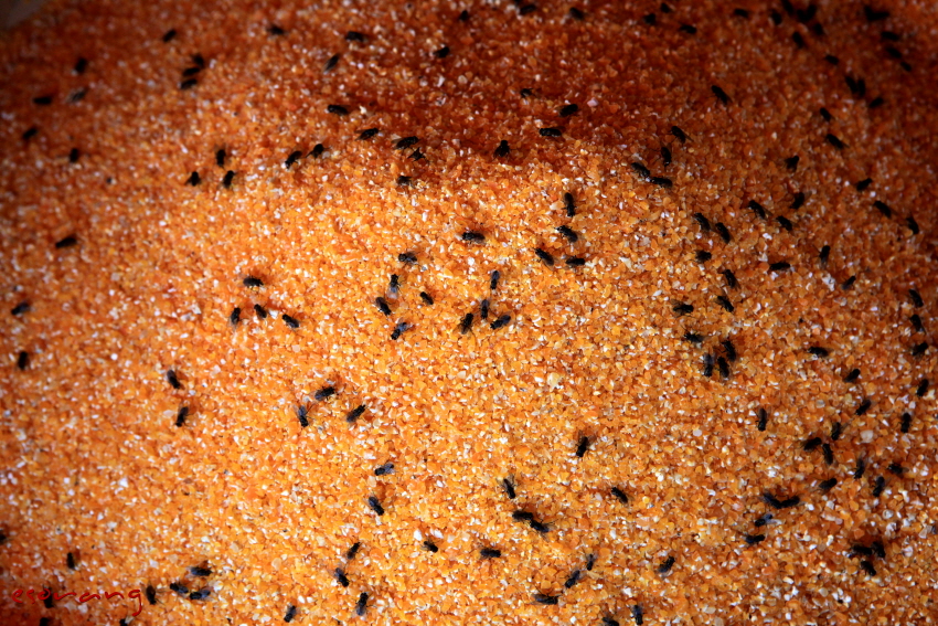 누구를 위한 만찬인가?