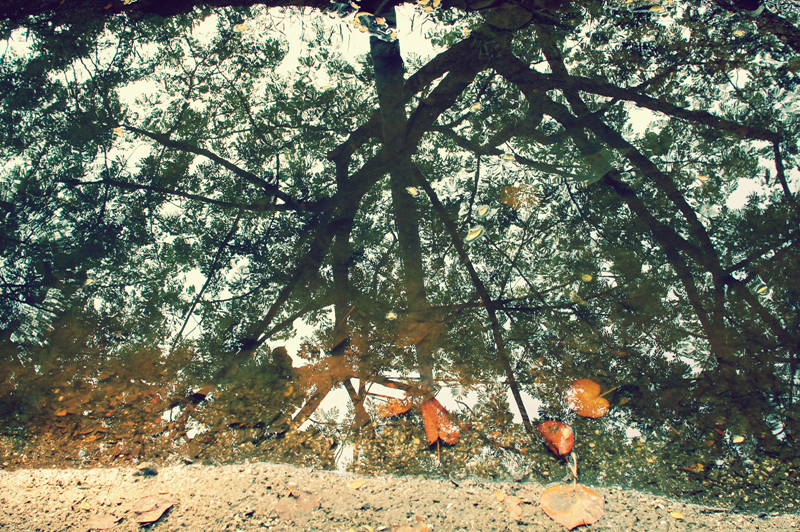 반영님.. 방장님이 알려주신데로는 안나오는거 같아요 ㅠ_ㅠ